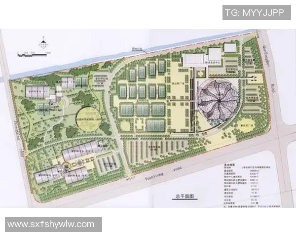 赛后分析：杭州网球队与上海网球队的战术意识与表现对比探讨